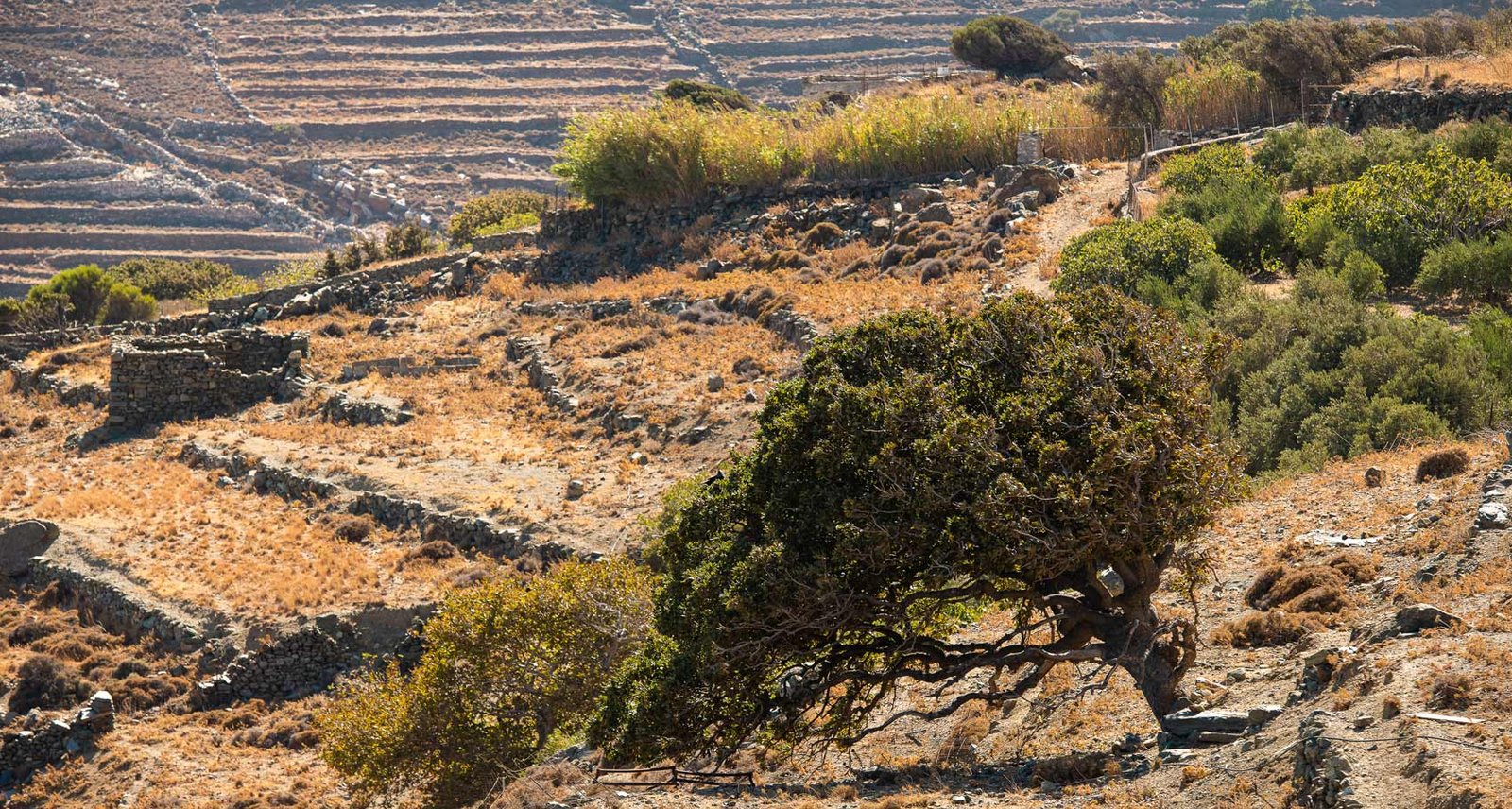 Location - Mountain view