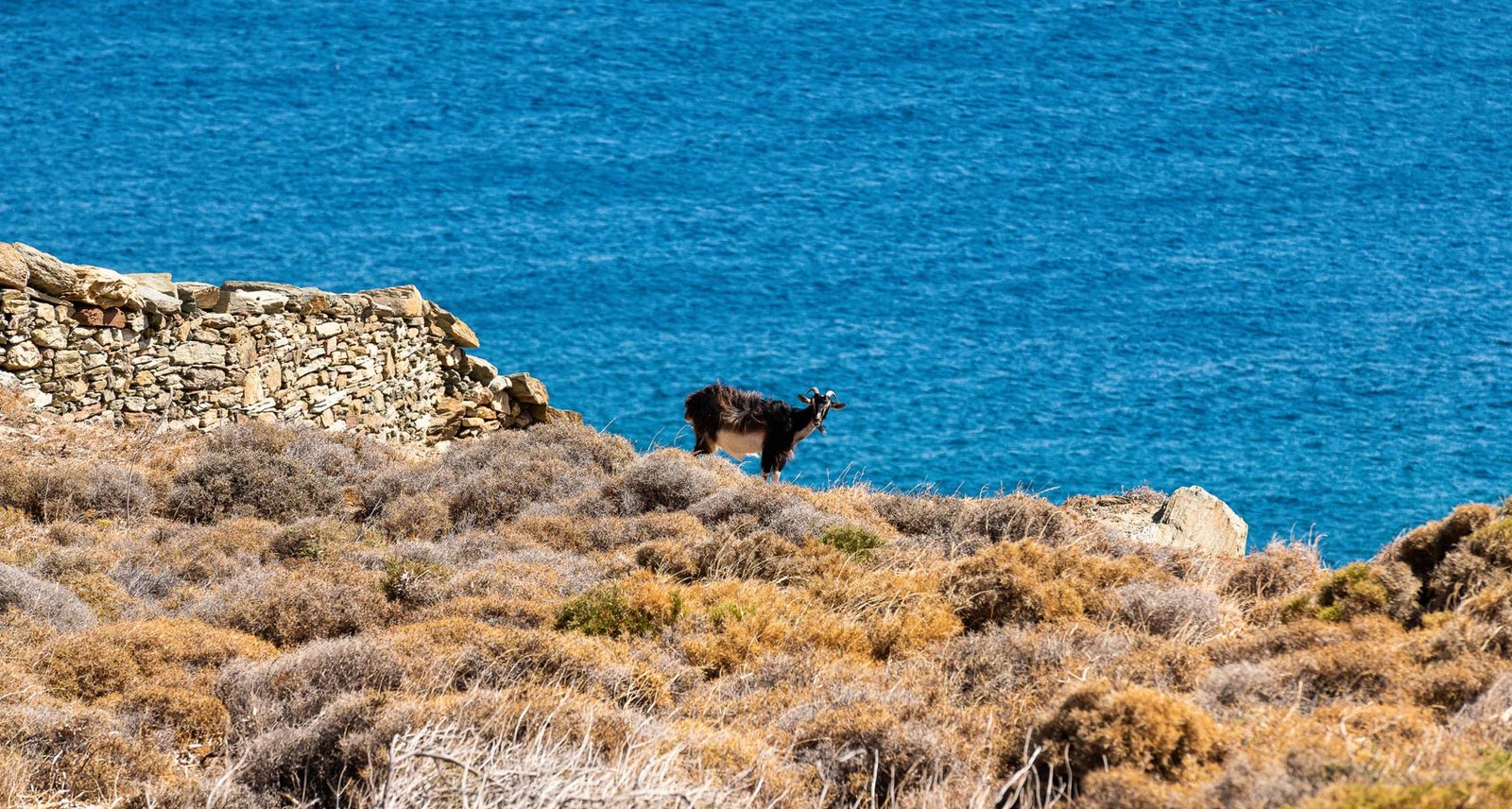 Location view - Panoramic photo from nearby beach